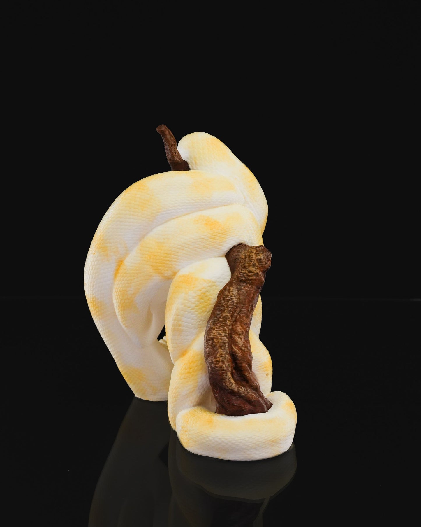 Ball Python Bottle Holder