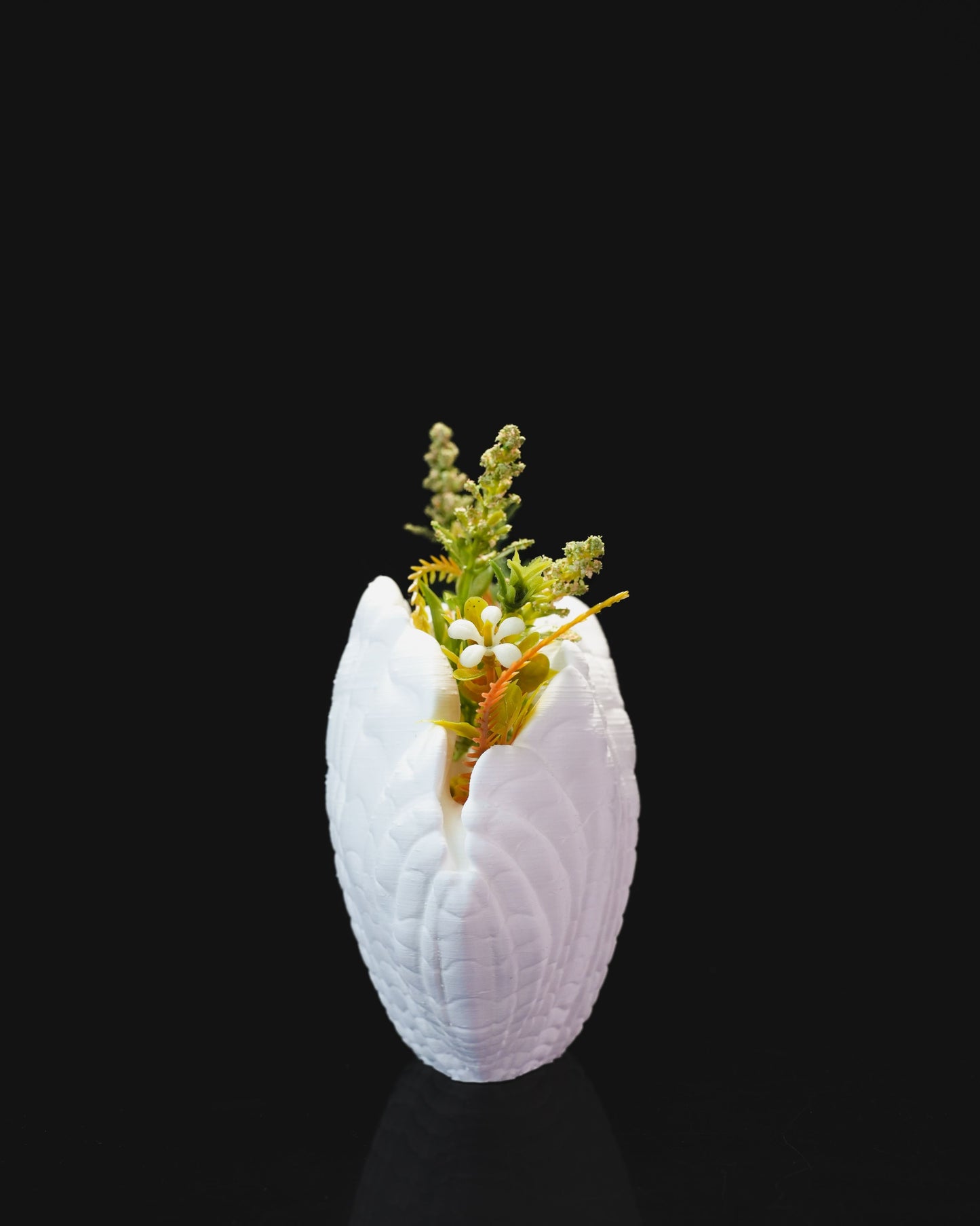 Shell Vase