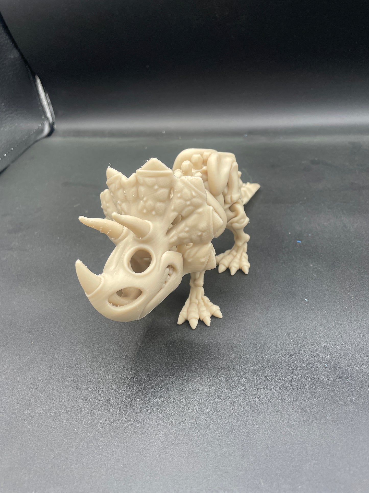 Flexi Skeleton Triceratops