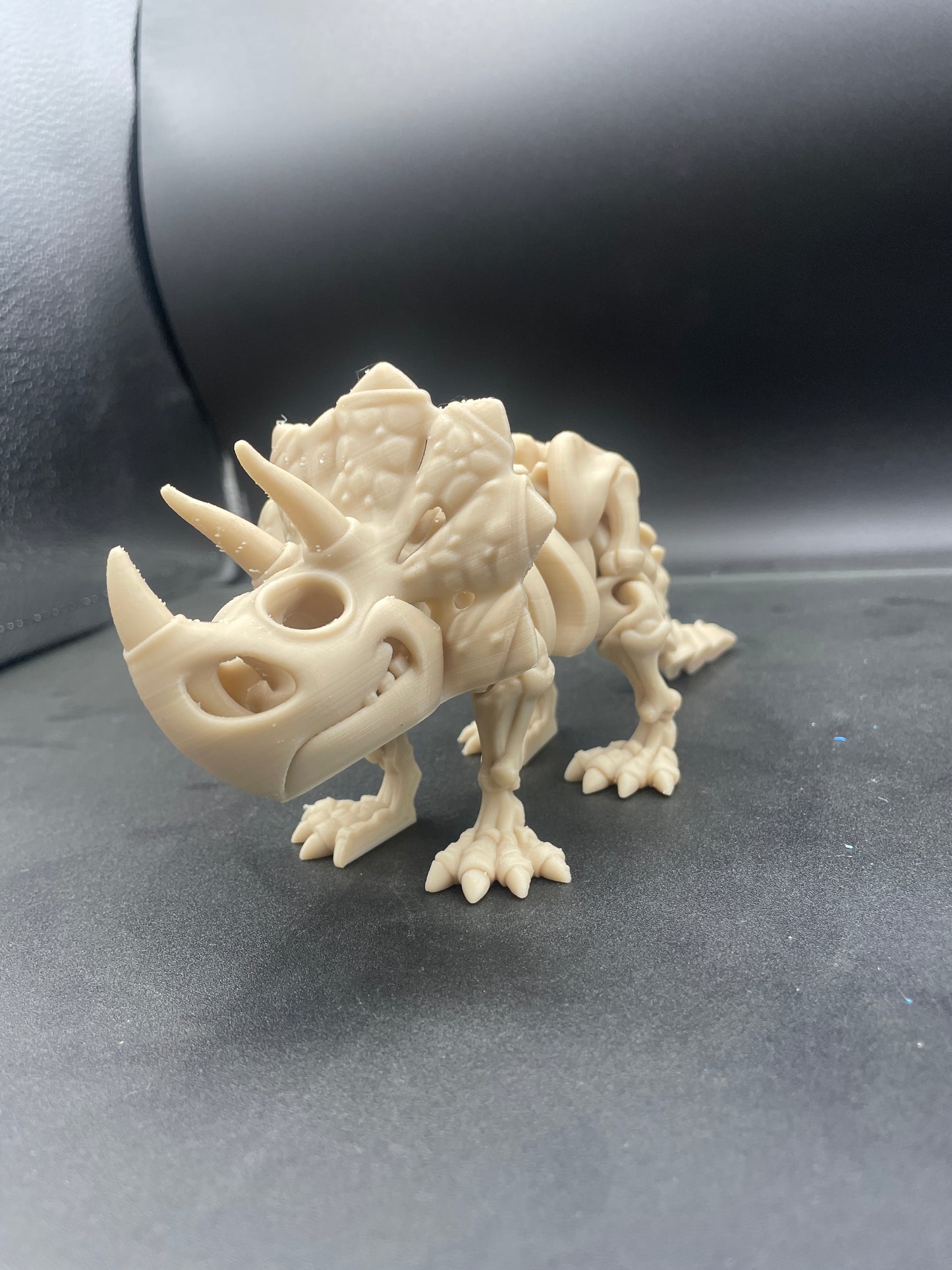 Flexi Skeleton Triceratops