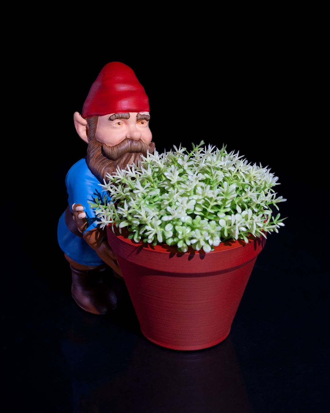 Garden Gnome - Pebbles