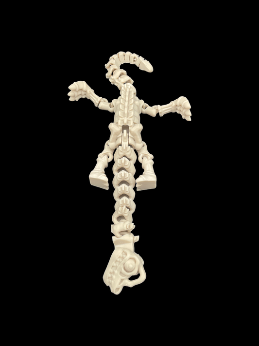 Flexi Skeleton Brontosaurus